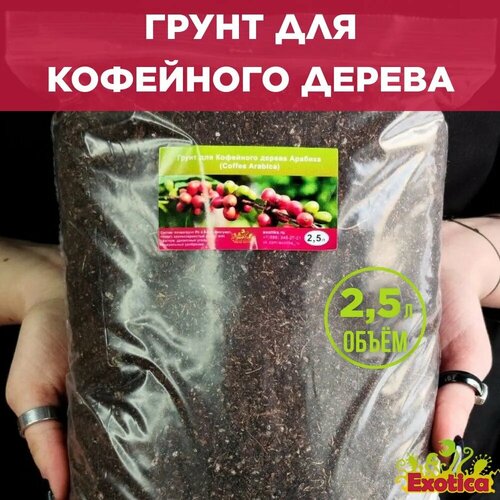 Грунт для Кофейного дерева Арабика (Coffea Arabica) 2,5л