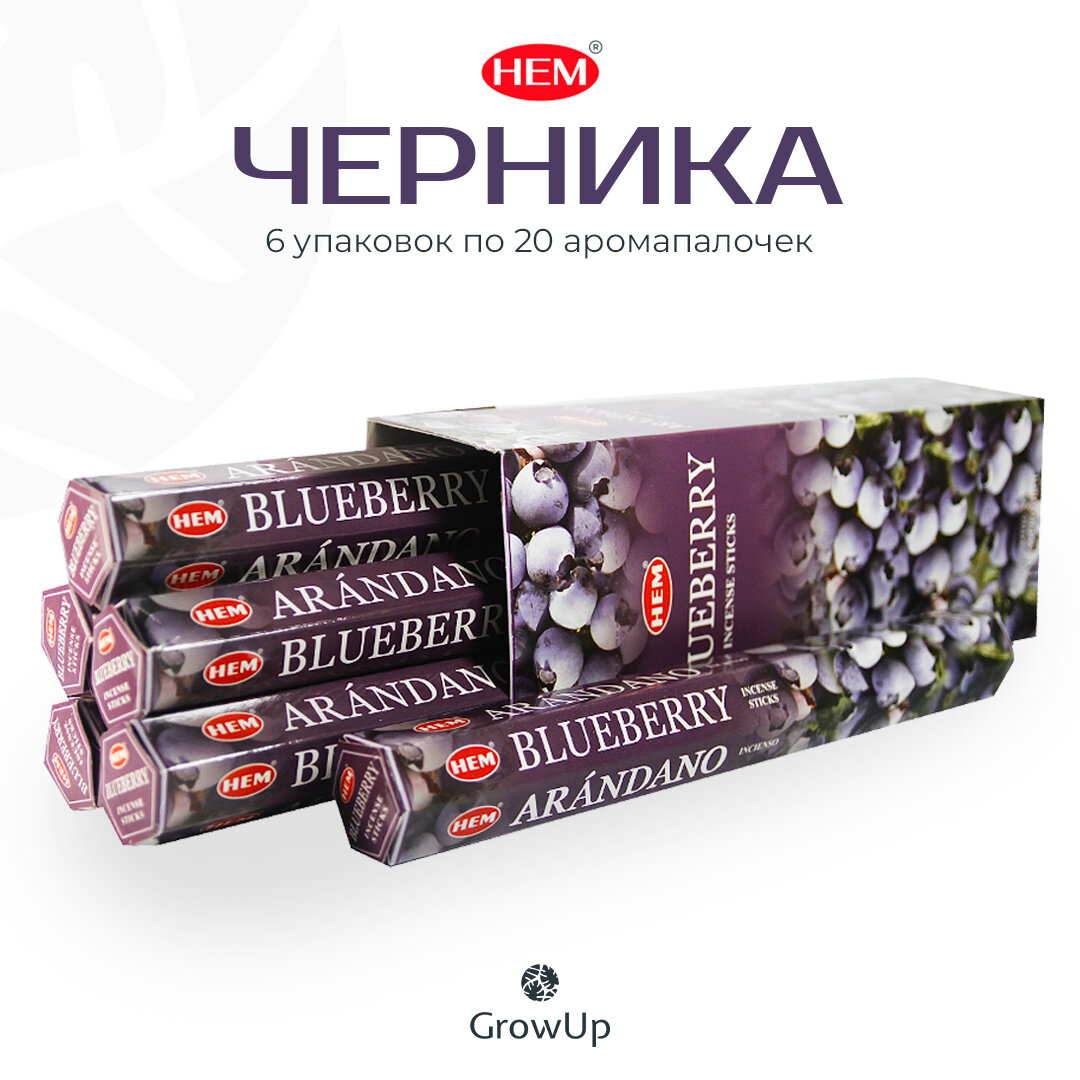 Набор HEM Черника - 6 упаковок по 20 шт - ароматические благовония, палочки, Blueberry - Hexa ХЕМ