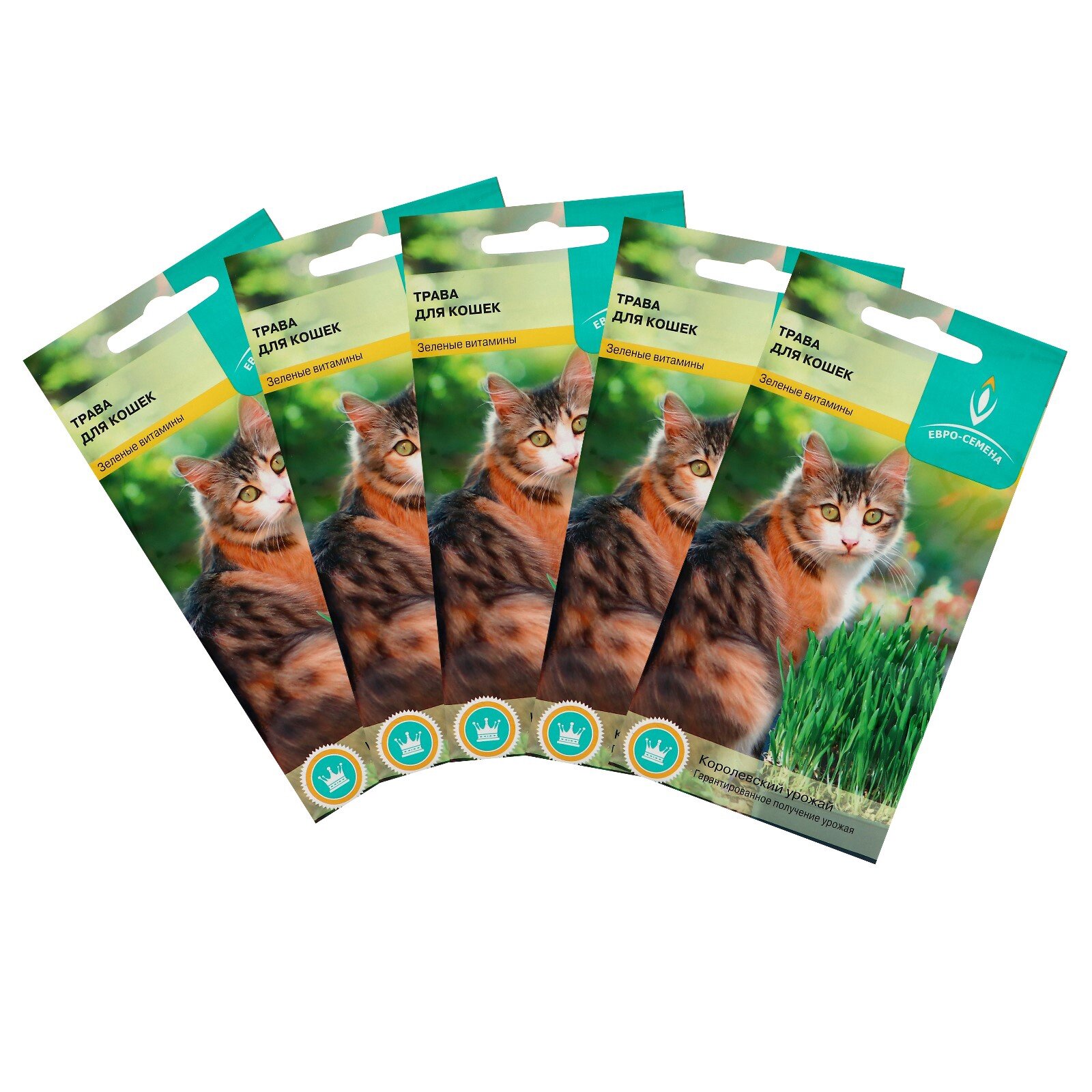 Семена Трава для кошек набор 5 шт