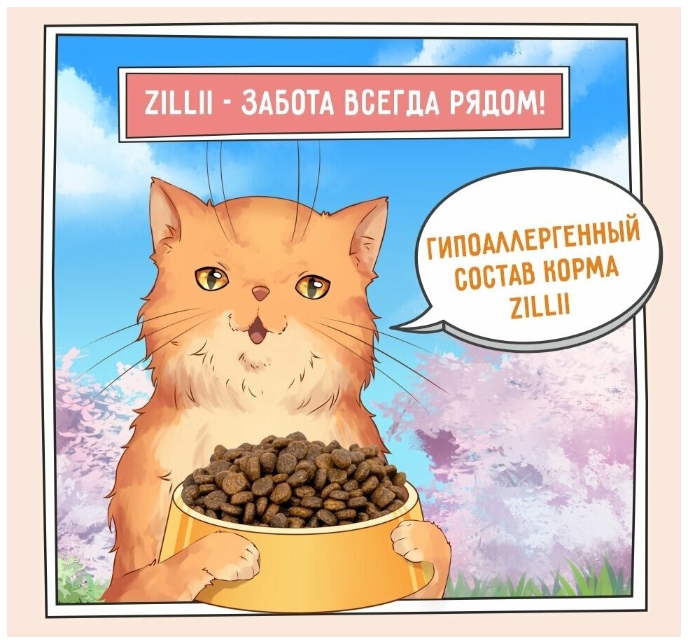 Корм сухой для кошек, живущих в помещении 10 кг, гипоаллергенный ZILLII (Зилли) Indoor Adult Cat, Индейка с Ягнёнком - фотография № 10