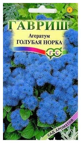 Семена Агератум Голубая норка-3 упак.