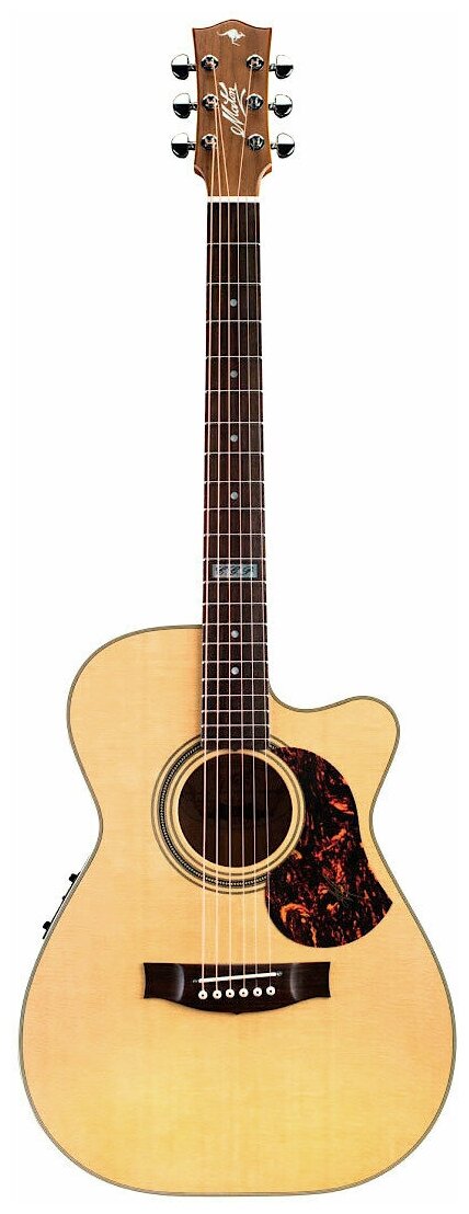 Maton EBG808C-TE