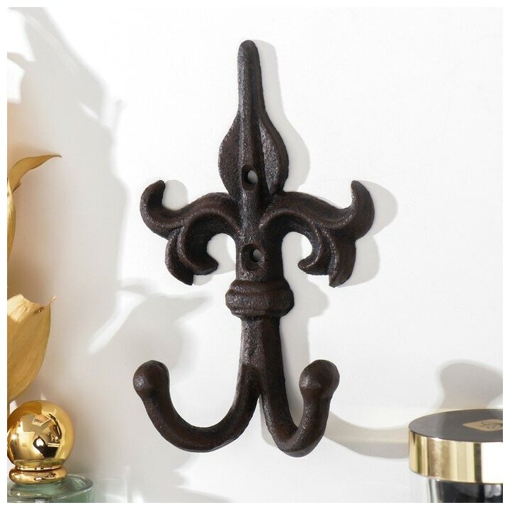 фото Крючки декоративные чугун "Пика кованая" 16х10х4 см 9060531