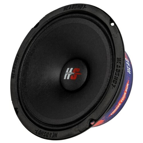 Cч Динамики эстрадные KICX HeadShot E65 406000₽