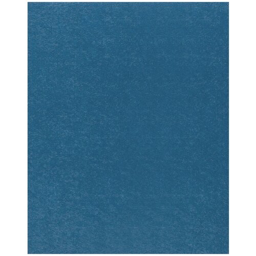 Купить Фетр Rayher моделируемый, размер листа 30 х 45 см (формат А3), толщина 1 мм, цвет: светло-синий