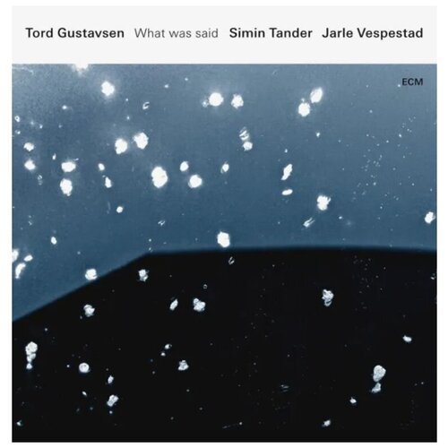 Виниловая пластинка Tord Gustavsen, Simin Tander & Jarle Vespestad: What Was Said (180g)