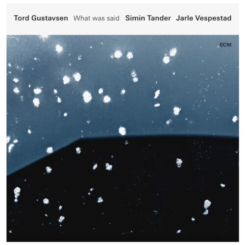 Виниловая пластинка Tord Gustavsen, Simin Tander & Jarle Vespestad: What Was Said (180g) ll cool j mama said knock you out 180g