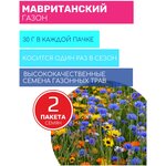 Газон Мавританский 2 пакета по 30г семян - изображение