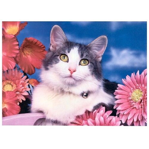 рыжий кот набор алмазной мозаики кошка с котятами ac22082 22х32 см Рыжий кот набор алмазной мозаики Котик в розовых цветах (AS22065), 22х32 см