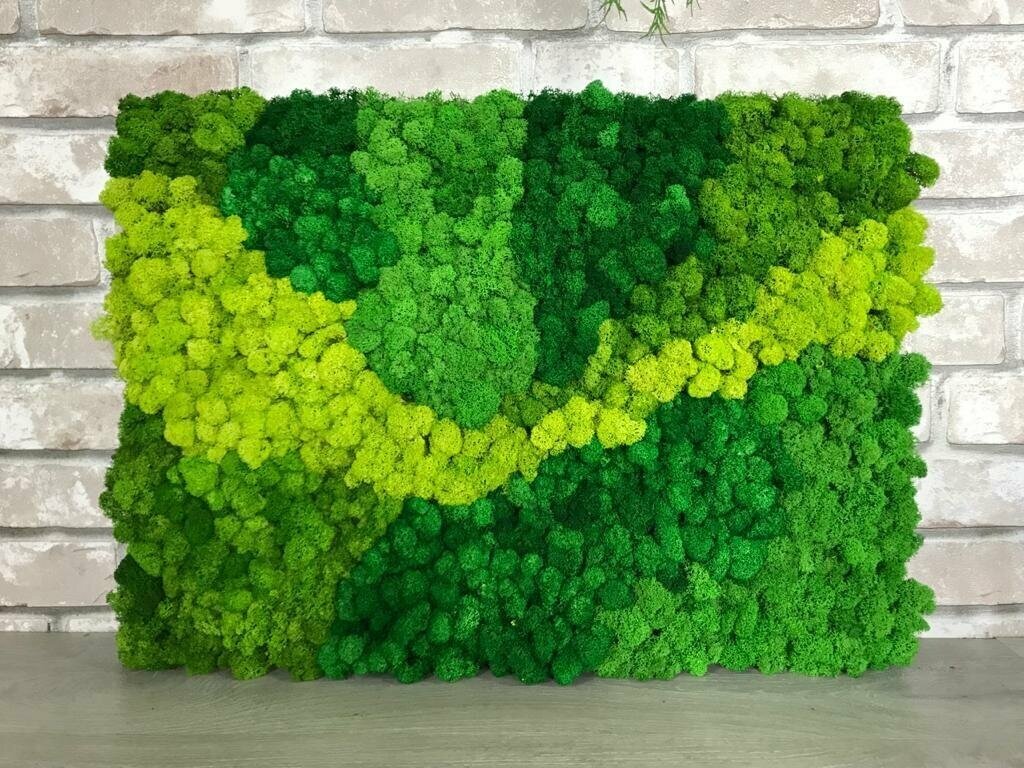 Картина 50*70 из стабилизированного мха ягеля "Весна"/природный декоративный лесной мох/интерьерный decor для дома, квартиры, озеленения интерьера, картина на стену, в подарок, прямоугольная