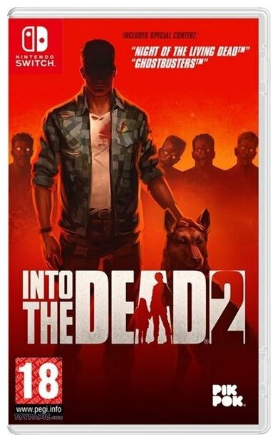 Игра для Nintendo Switch Into the Dead 2