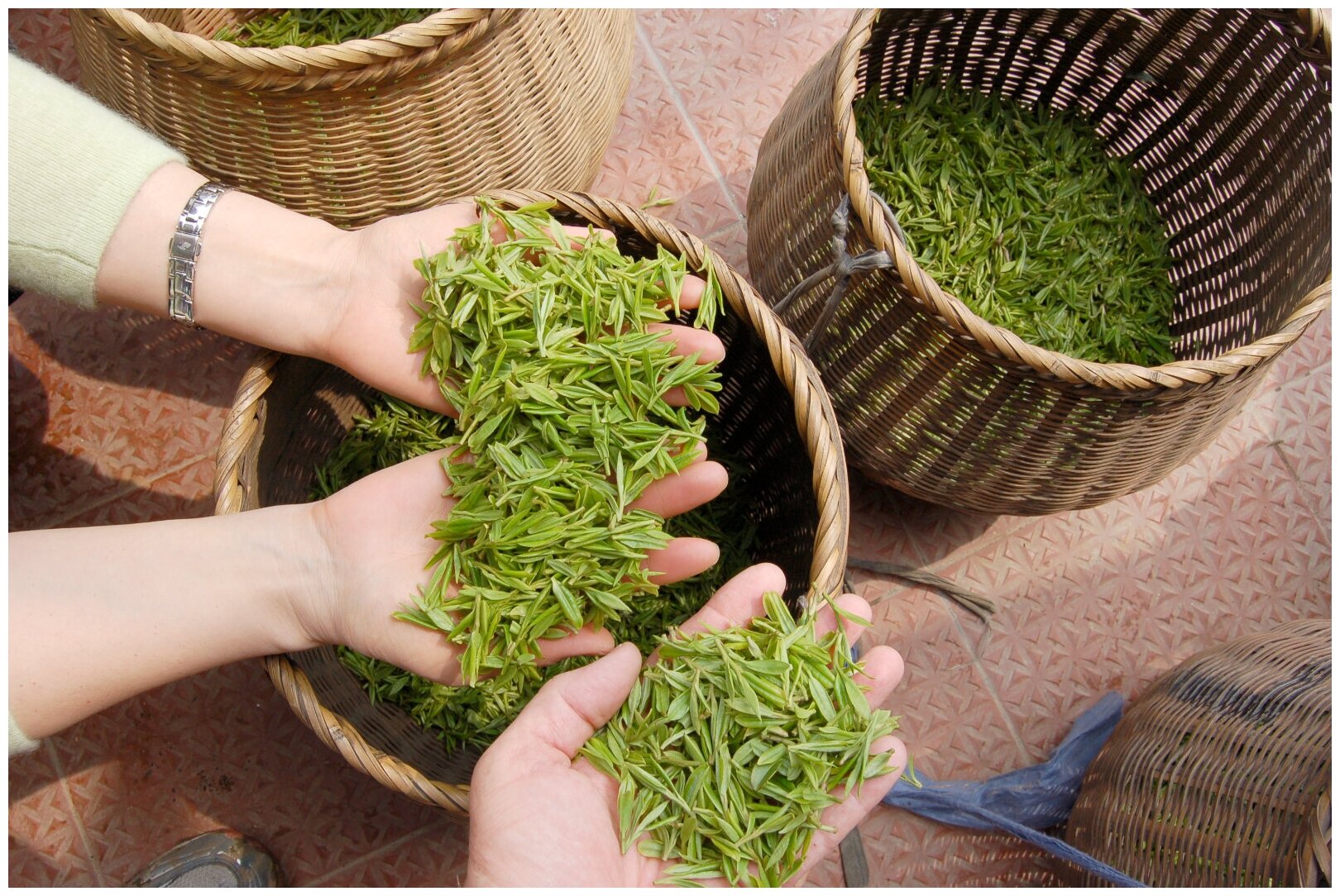 Чай зеленый Лунцзин китайский (Лун Цзин, Лун Цзинь) Mehman 50г - фотография № 5