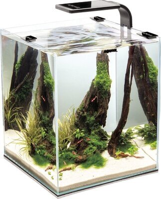 Aквариум Aquael Shrimp Set Smart LED Plant ll 20л белый - фотография № 6