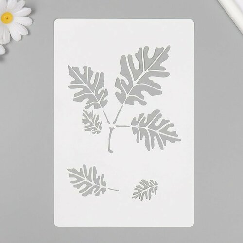 SUI Трафарет пластиковый Листья16х24 см 411₽
