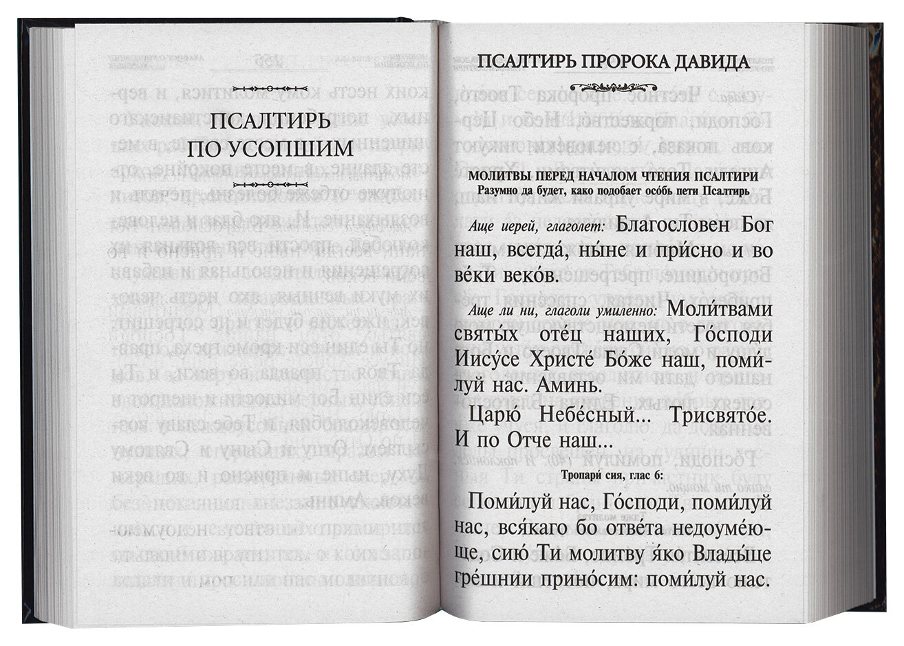 Псалтирь и каноны по усопшим для слабовидящих - фото №10