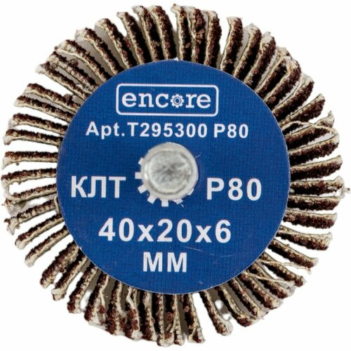 Лепестковый радиальный круг на дрель TORGWIN T295300 667₽