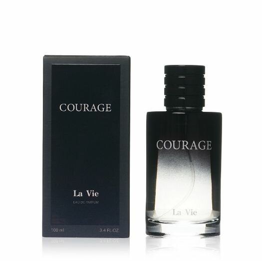 Парфюмерная вода Dilis LaVie COURAGE edt100ml (версия Savage)