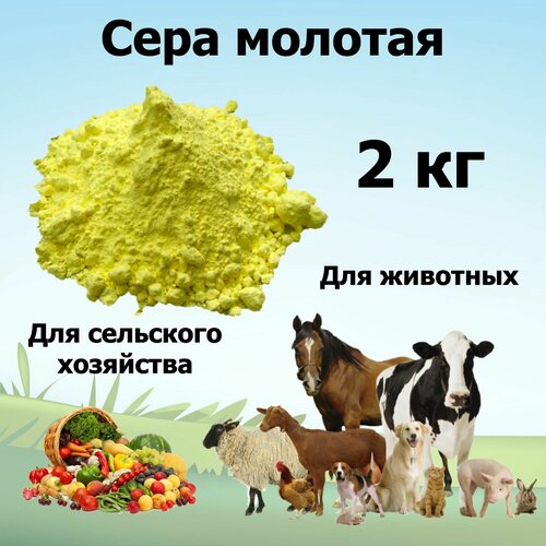 Сера молотая для сельского хозяйства и животных, 2 кг сера молотая фасовка 4 кг сорт 9990 природная гост 127 4 93 химмаркет
