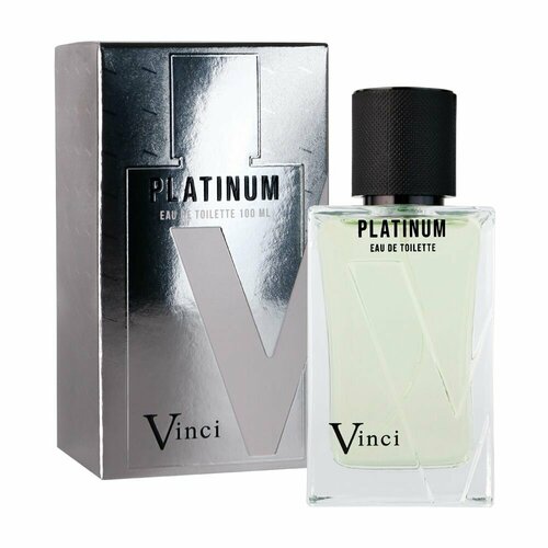 VINCI (Delta parfum) Туалетная вода мужская Vinci Platinum, 100 мл vinci delta parfum туалетная вода мужская maxx man iceland