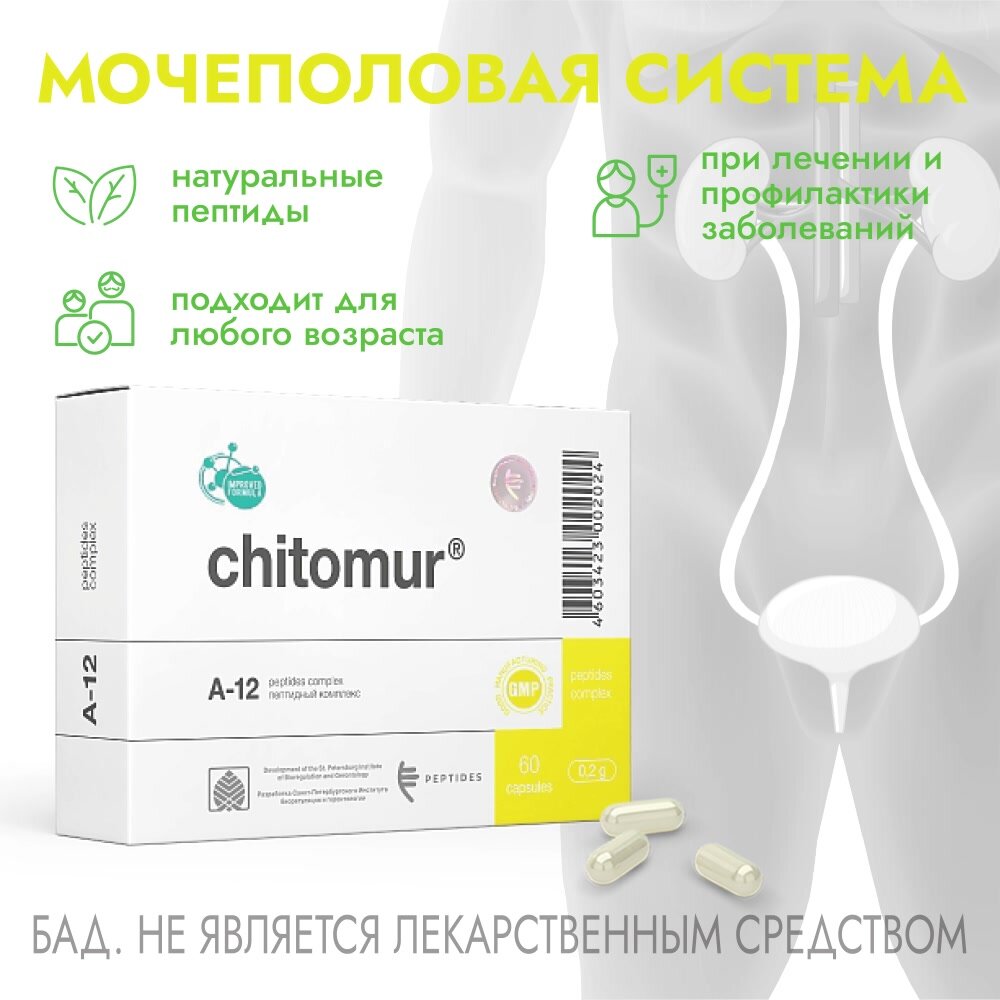 Читомур (Chitomur) 60 капсул — мочевой пузырь — фото 1