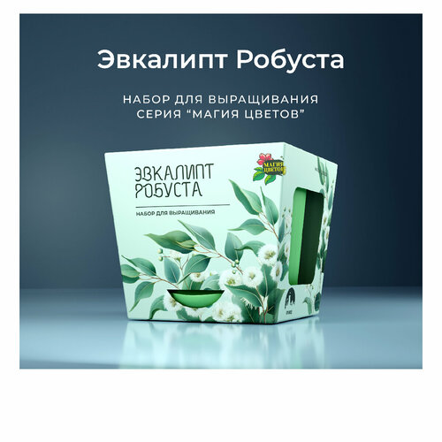 Эвкалипт робуста Набор для выращивания от бренда 