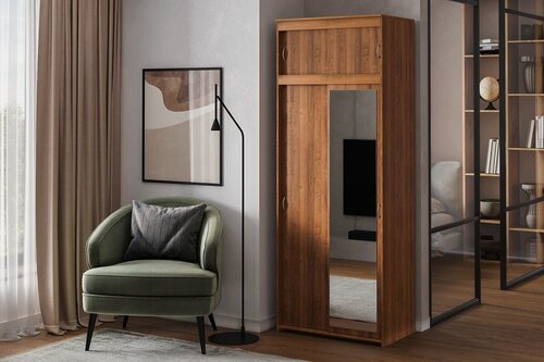 Изображение товара Шкаф-купе Миллениум-2 с антресолью Орех Экко для одежды с зеркалом двухдверный 120*250*50