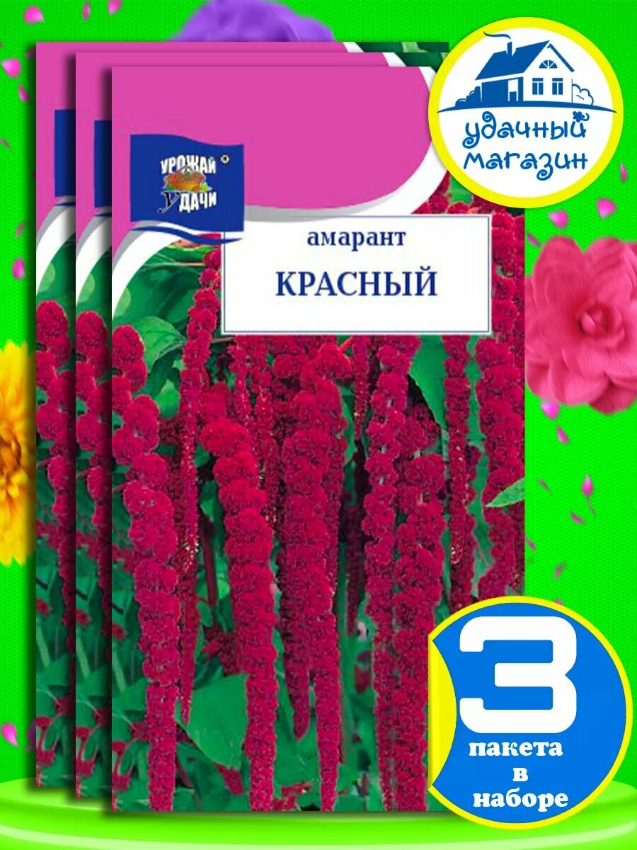 Семена амаранта для посадки