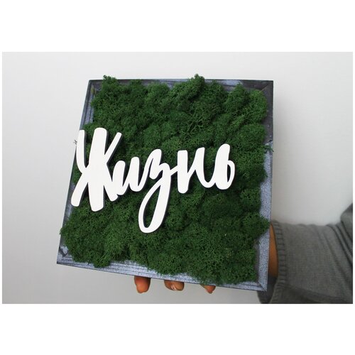 Живая эко-картина для интерьера 20х20см с надписью 