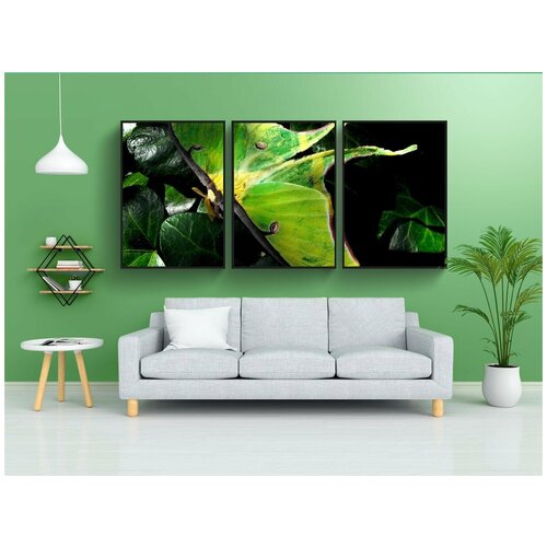 фото Набор модулных постеров для интерьера "луна, моль, летом" 60x90 см. в тубусе, без рамки lotsprints