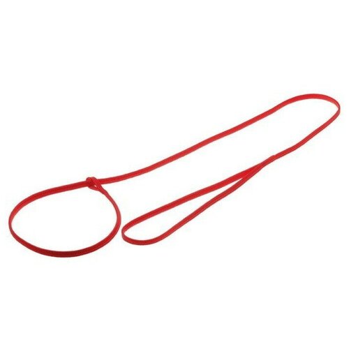Поводок-затяжка с петлёй (лента-чулок) 5мм*100см (красный)