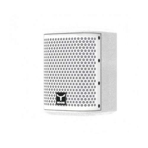 Акустика универсальная трансляционная MOOSE i4 4136000₽