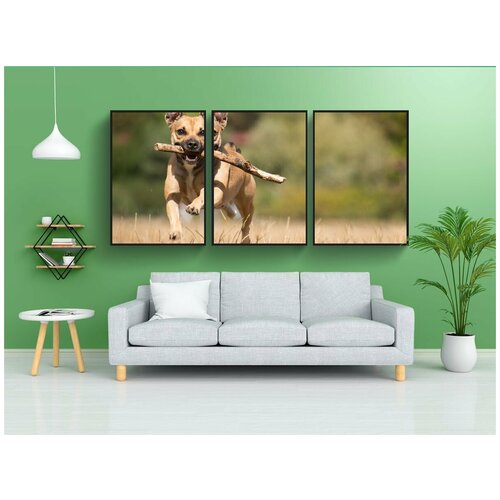 фото Набор модулных постеров для интерьера "собака, животное, млекопитающее" 60x90 см. в тубусе, без рамки lotsprints