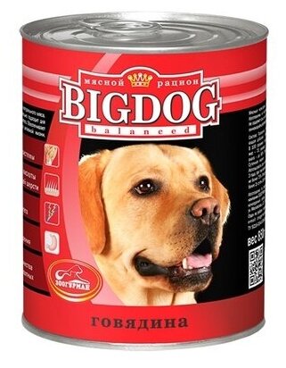 Зоогурман Консервы для собак BIG DOG Говядина (0249) 0,85 кг 18944 (2 шт)