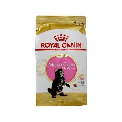Сухой корм RC Kitten Maine Coon для котят крупных пород, 4 кг Royal Canin 1657533 . royal canin dry food maine coon kitten 4 41 oz 2 kg