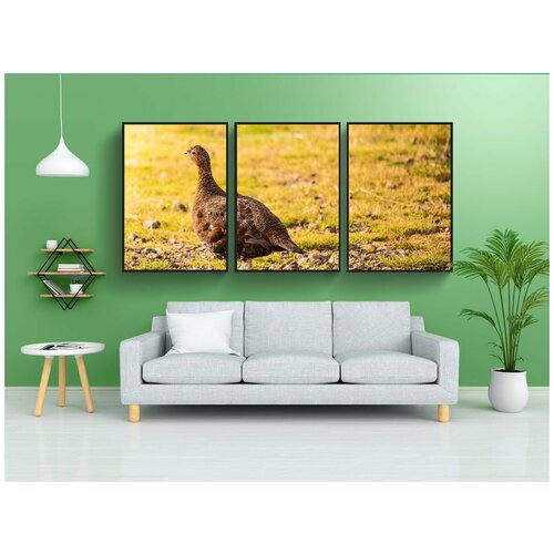 фото Набор модулных постеров для интерьера "тетерев, шотландский, природа" 60x90 см. в тубусе, без рамки lotsprints