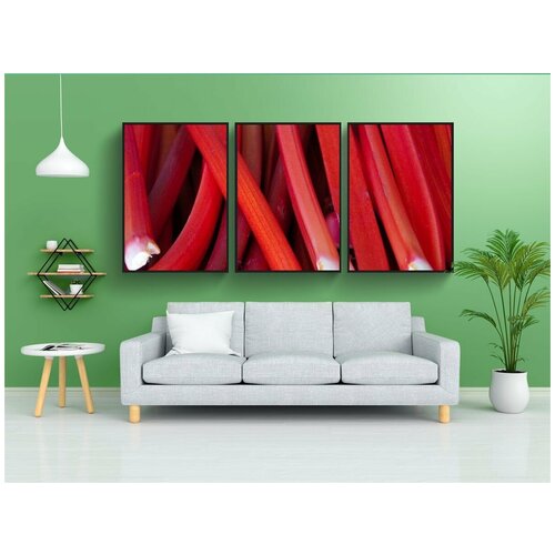 фото Набор модулных постеров для интерьера "ревень, овощи, еда" 60x90 см. в тубусе, без рамки lotsprints