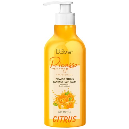 BB One Шампунь Picasso Home Care Citrus Fantasy Shampoo, 300 мл