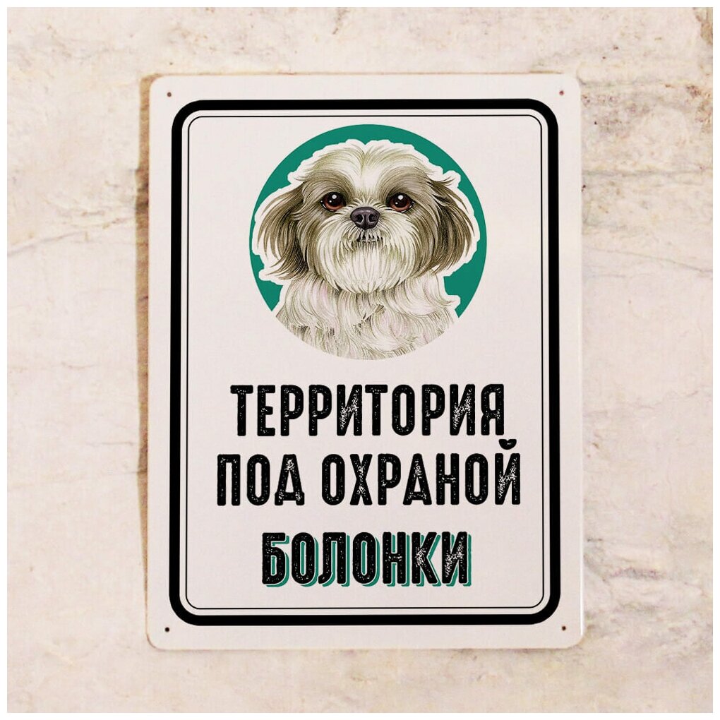 Металлическая табличка Территория под охраной Болонки, таблички про собак на забор, дверь, калитку, металл, 20х30 см.