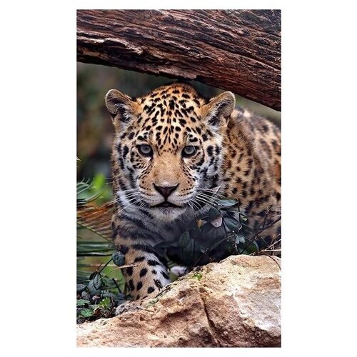 Гибкий настенный обогреватель Тепло Ягуар для помещений 60х100 см 127500₽