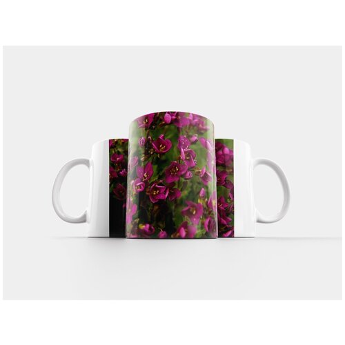 фото Кружка "бегония, цветы, макрос" 320 мл lotsprints