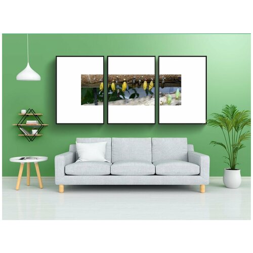 фото Набор модулных постеров для интерьера "гусеницы, бабочки, метаморфоза" 60x90 см. в тубусе, без рамки lotsprints