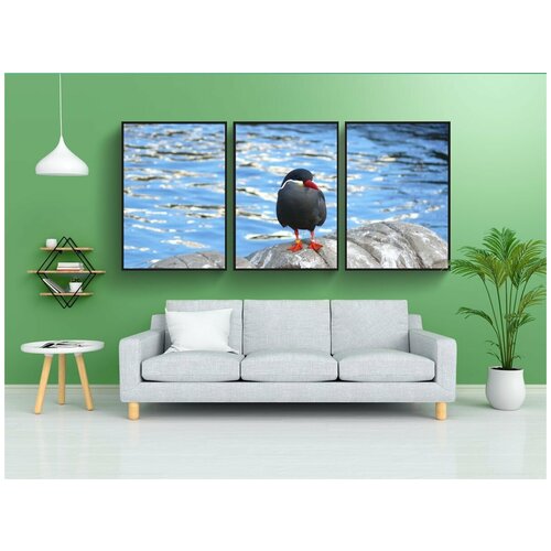 фото Набор модулных постеров для интерьера "птица, жизнь, морской берег" 60x90 см. в тубусе, без рамки lotsprints