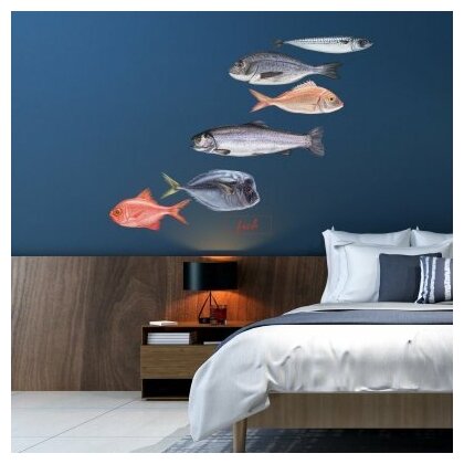 Наклейка интерьерная на стену «Эволюция рыбок»