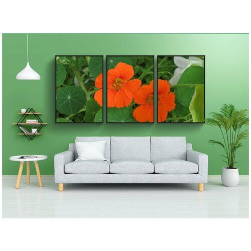 фото Набор модулных постеров для интерьера "настурции, апельсин, тропеол" 60x90 см. в тубусе, без рамки lotsprints