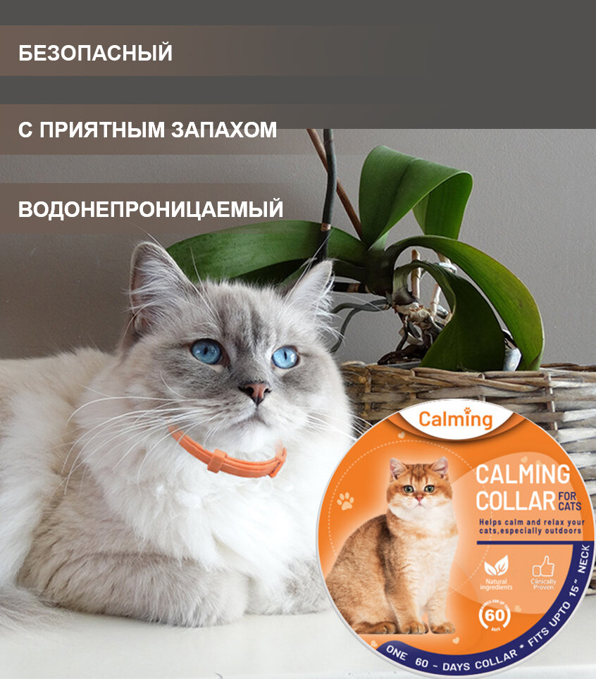 Ошейник для кошек Calming Collar успокаивающий с феромонами, оранжевый цвет - фотография № 2