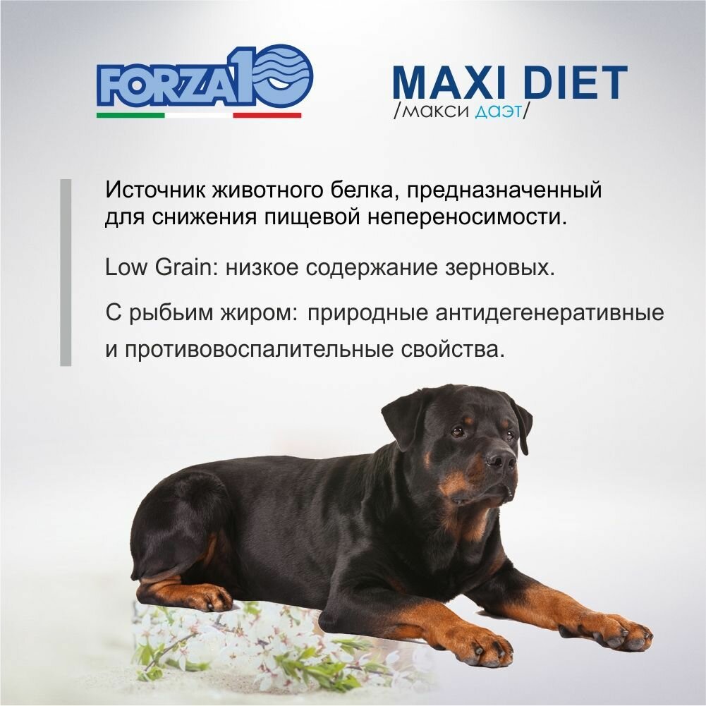 Сухой корм для собак Forza10 Diet Maxi при чувствительном пищеварении, гипоаллергенный, рыба 12 кг (для крупных пород) - фотография № 7