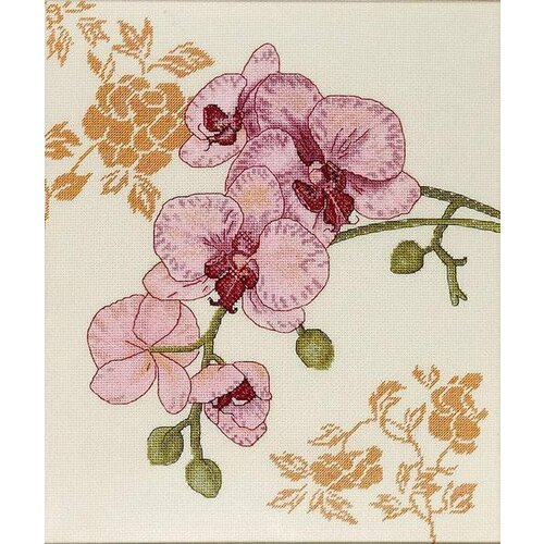 Орхидея1 1214