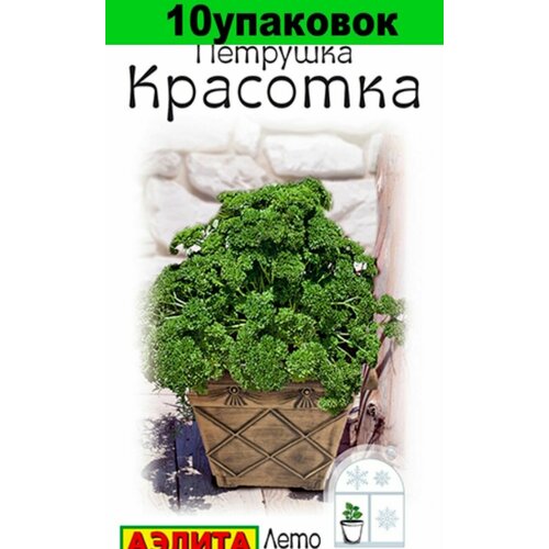 Семена Петрушка Красотка кудрявая 10уп по 2г (Аэлита) семена базилик малахит овощной 10уп по 0 2г аэлита