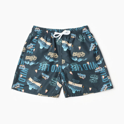 фото Трусы kaftan, размер 110/116, синий, серый