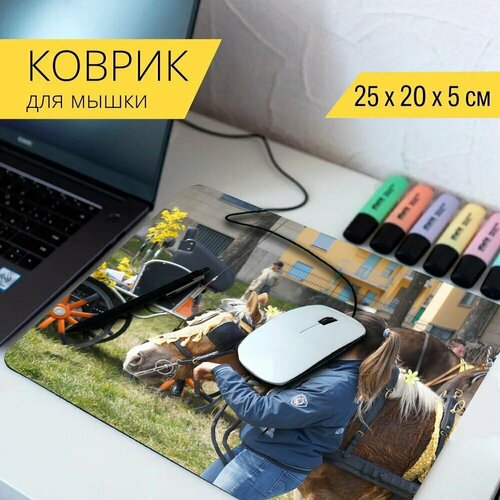 шоры кожаные для лошади anika horse защитные шоры для коня черные whitehorseshop Коврик для мыши с принтом Лошадь, амазонка, шоры 25x20см.